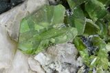Green Titanite (Sphene), Calcite, and Muscovite - Pakistan #175084-3